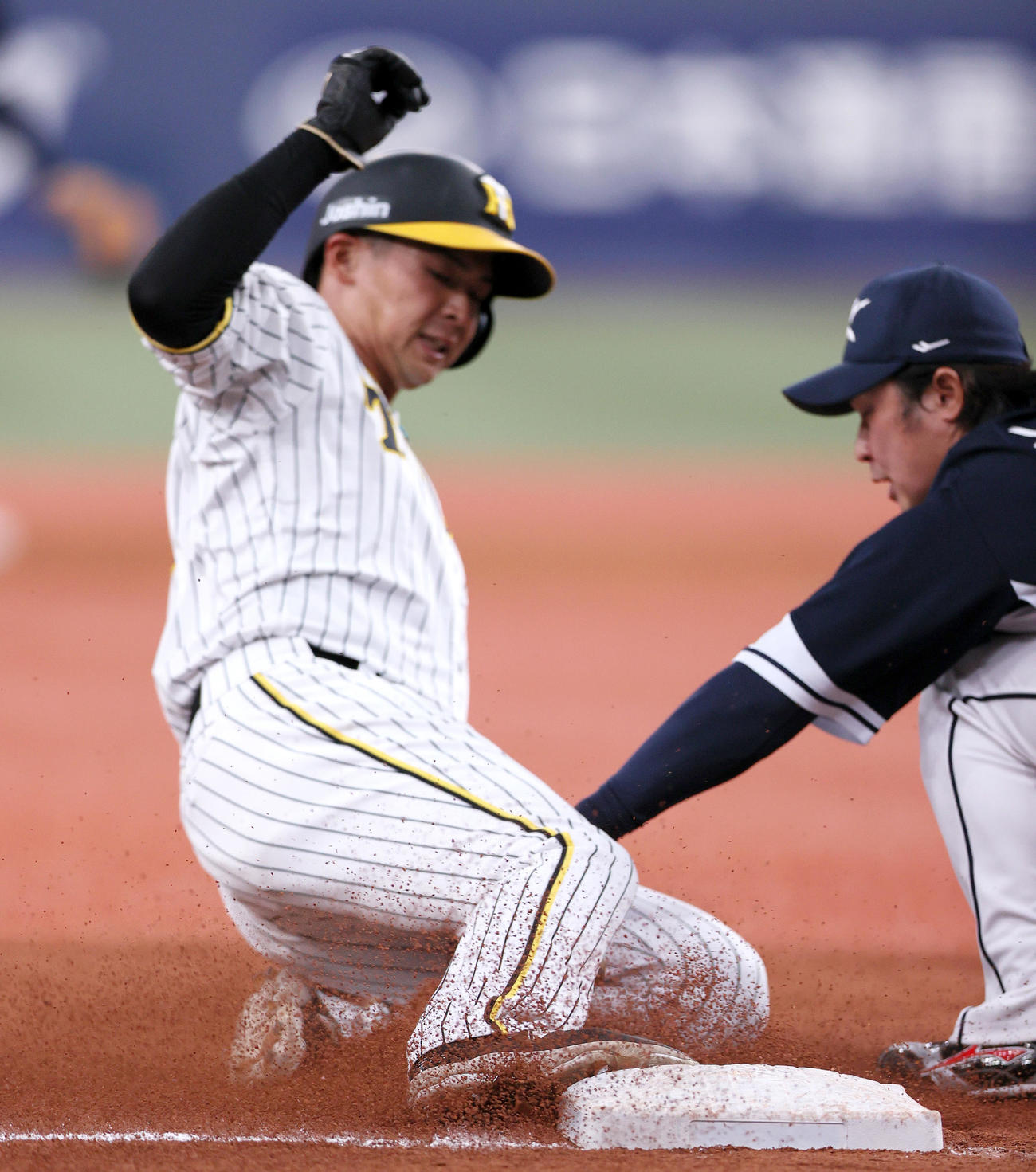 阪神対韓国　6回裏阪神2死一、二塁、二走井上は二盗を狙うが三塁アウト（撮影・上山淳一）