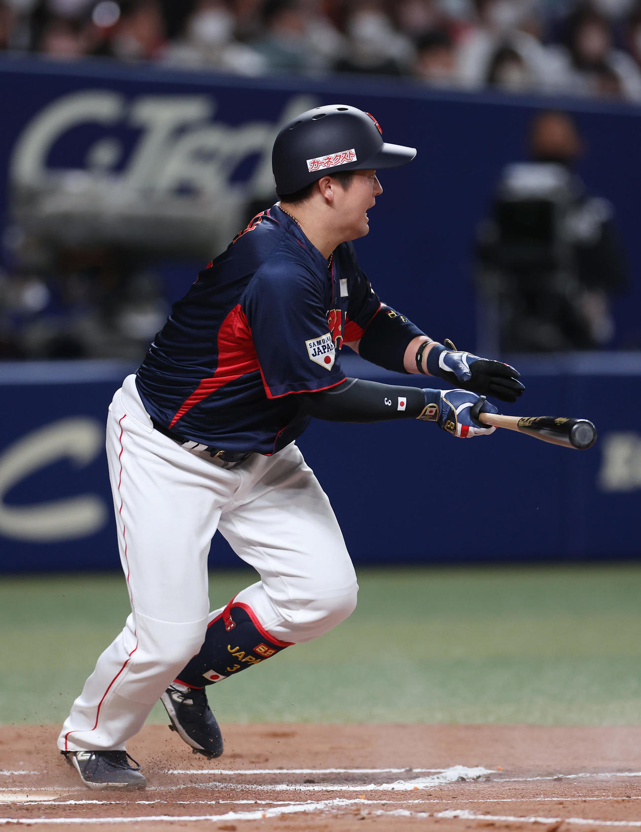 侍ジャパン牧秀悟（2023年3月4日撮影）