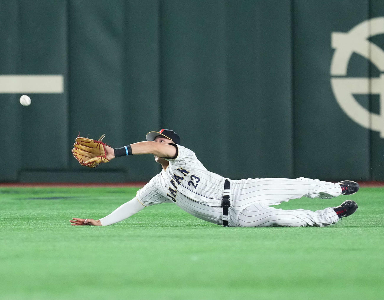 日本対韓国　5回表韓国1死一塁、金河成の中飛を好捕するヌートバー（撮影・菅敏）