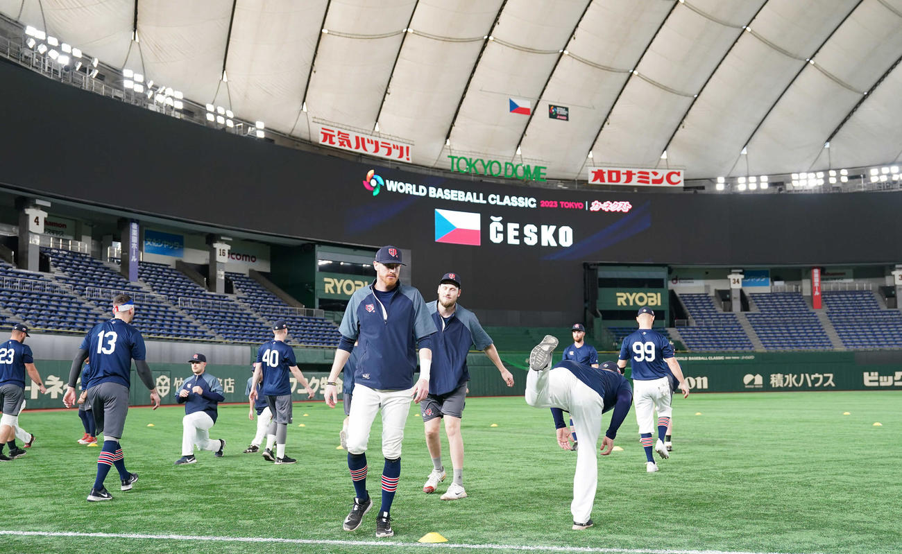 アップするチェコナイン（撮影・鈴木みどり）