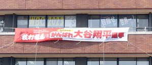 侍ジャパン大谷の横断幕などを市庁舎に掲げて応援する地元の奥州市（奥州市提供）