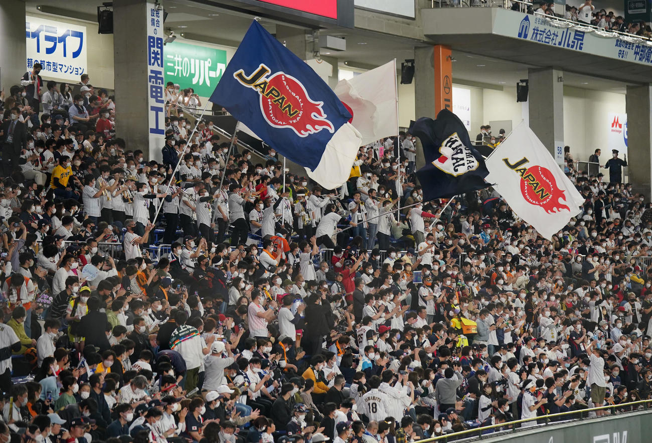 日本対韓国　試合前、盛り上がる日本ファン（撮影・垰建太）