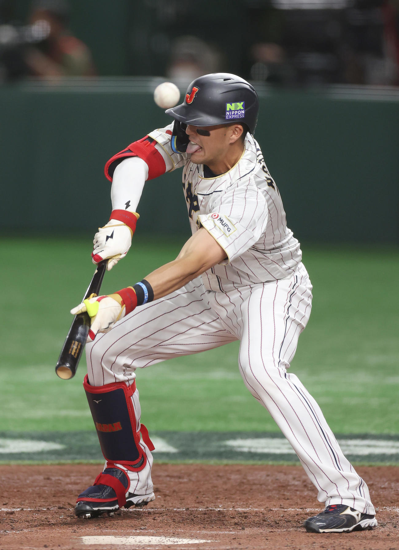 日本対韓国　3回裏日本無死一、二塁、犠打を試みるヌートバー（撮影・前田充）