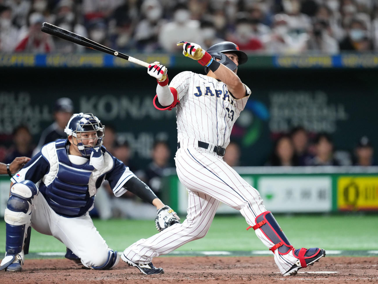 日本対韓国　7回裏日本無死一塁、右前打を放つヌートバー（撮影・菅敏）
