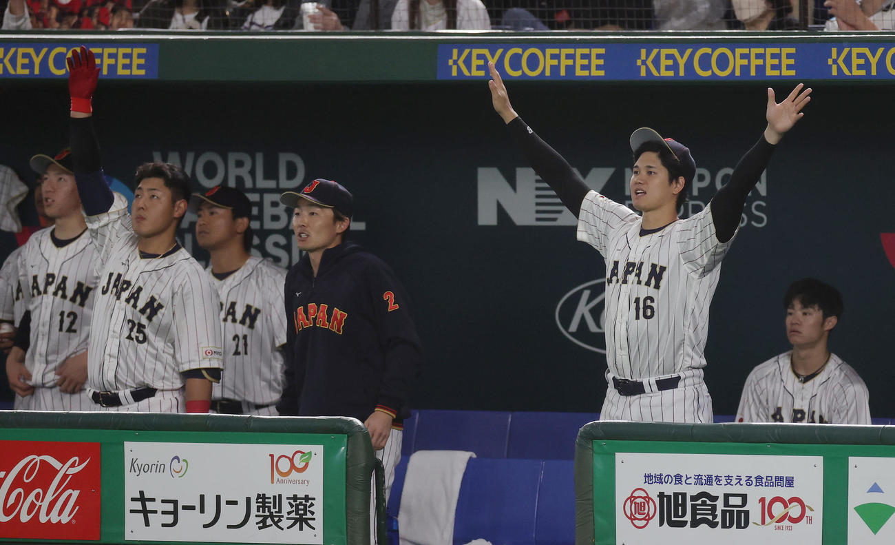日本対チェコ　8回裏日本無死、牧が放った打球を見つめバンザイする大谷（右から2人目）（撮影・前田充）
