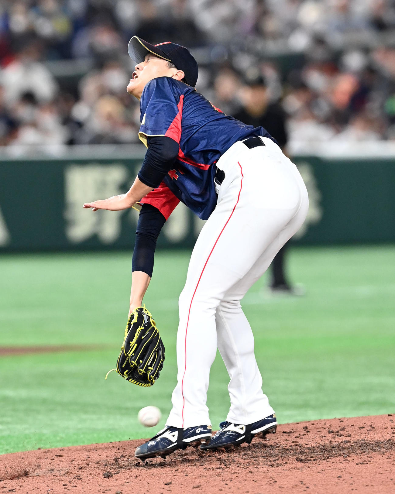 日本対オーストラリア　5回裏オーストラリア2死、代打デールの打球にグラブを伸ばす高橋奎（撮影・たえ見朱実）