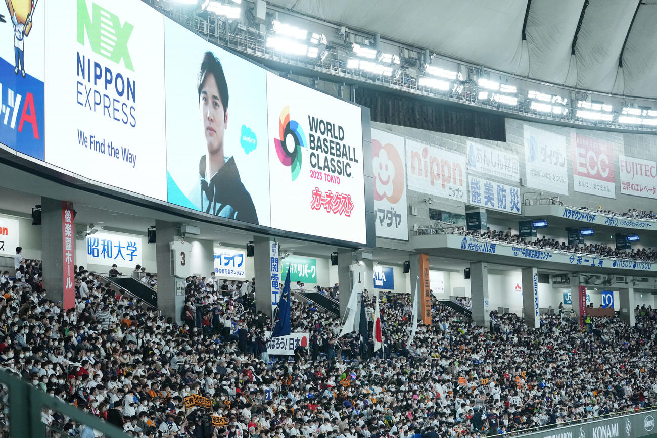 日本対オーストラリア　ライトスタンドの大谷看板（撮影・横山健太）