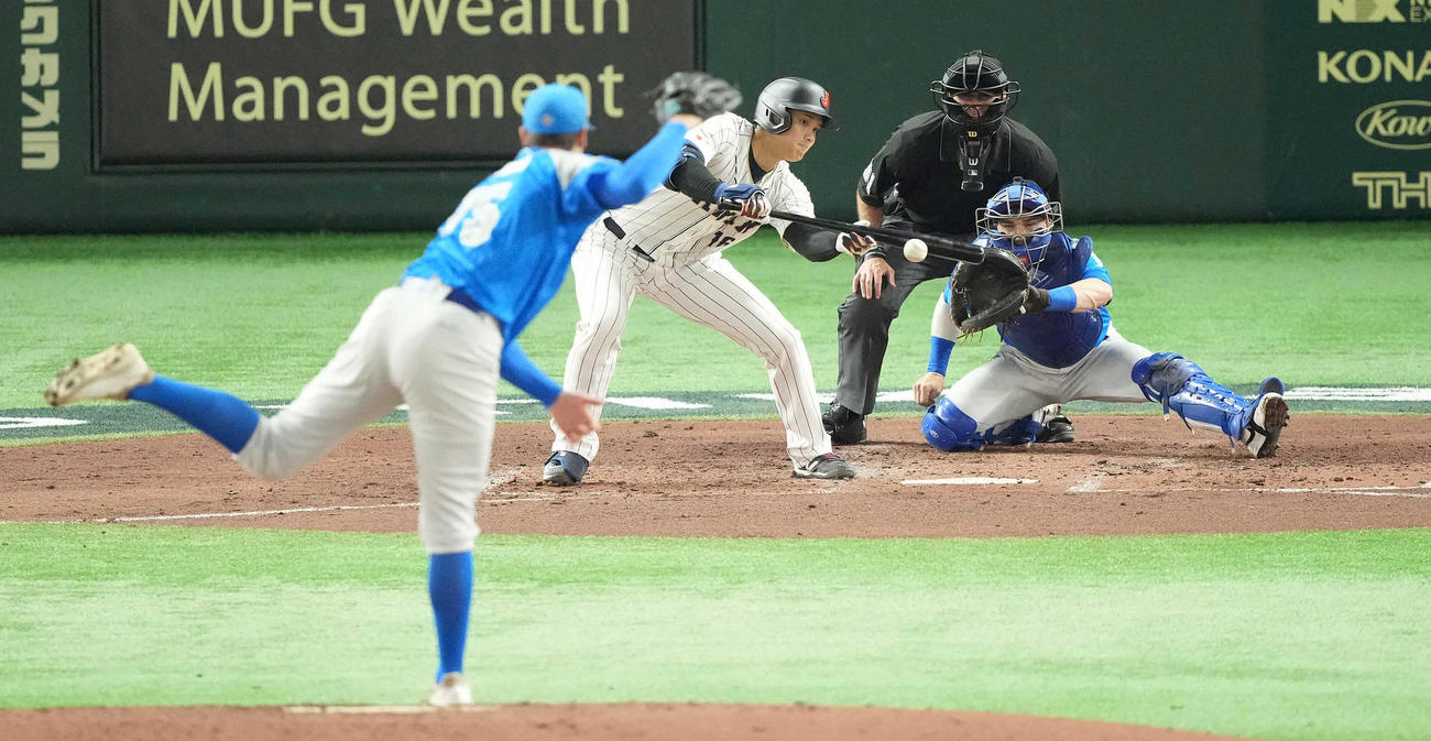日本対イタリア　3回裏日本1死一塁、投前にセーフティーバントを決める大谷。投手ラソーサ（撮影・鈴木みどり）