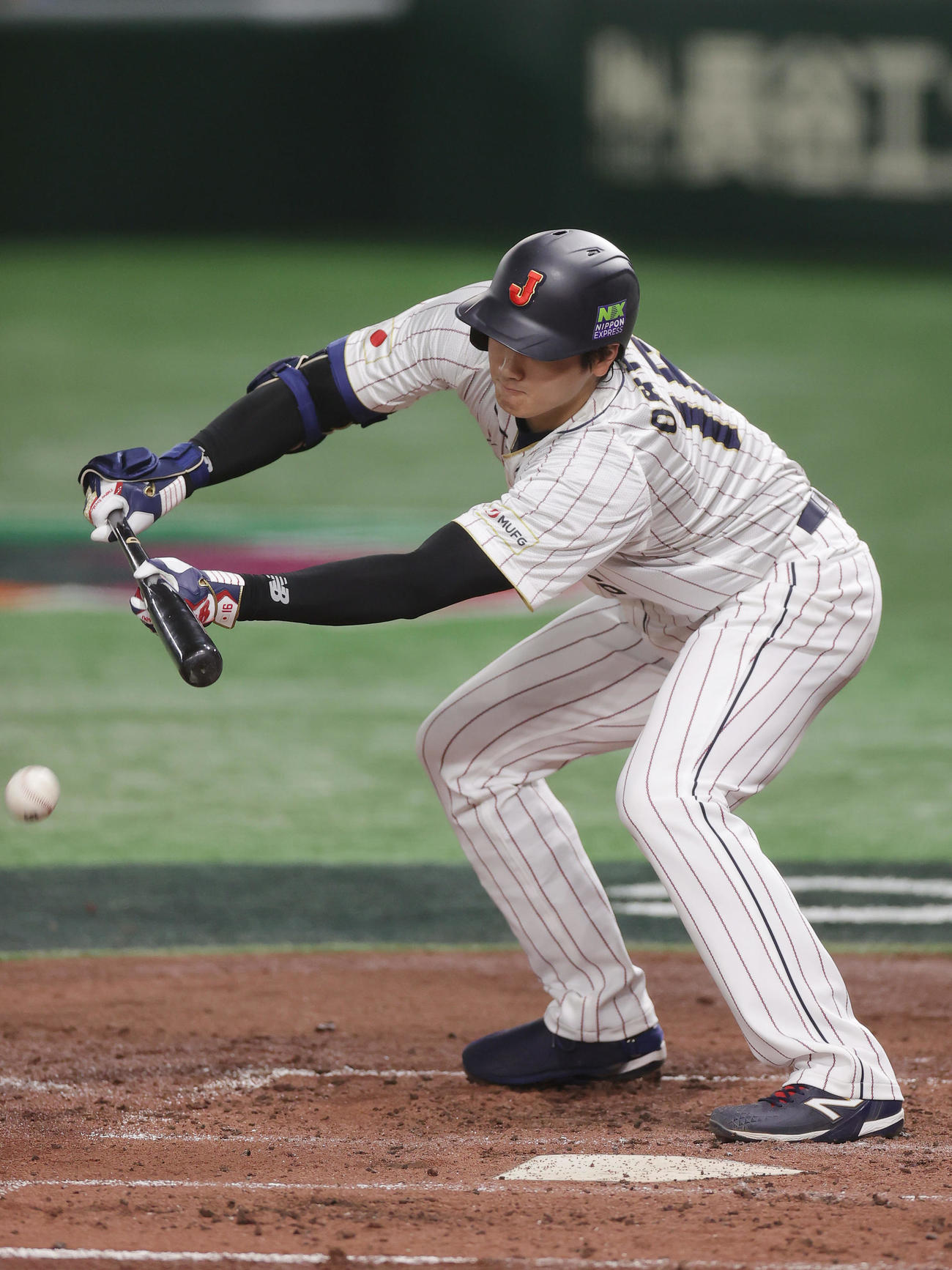 日本対イタリア　3回裏日本1死一塁、投前にバント安打を決める大谷（撮影・前田充）