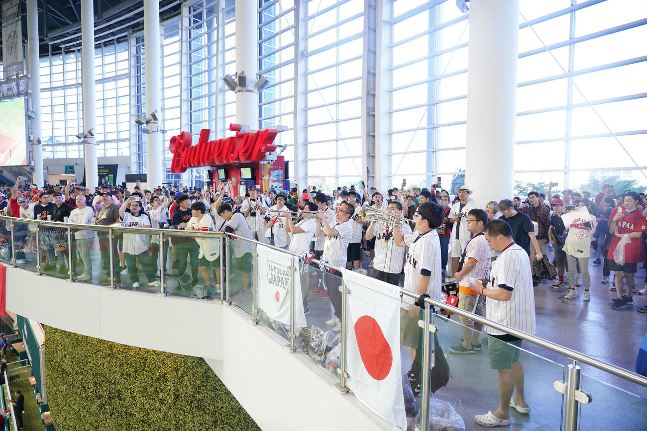日本対メキシコ　試合前、トランペットの応援で盛り上がる日本応援団（撮影・垰建太）