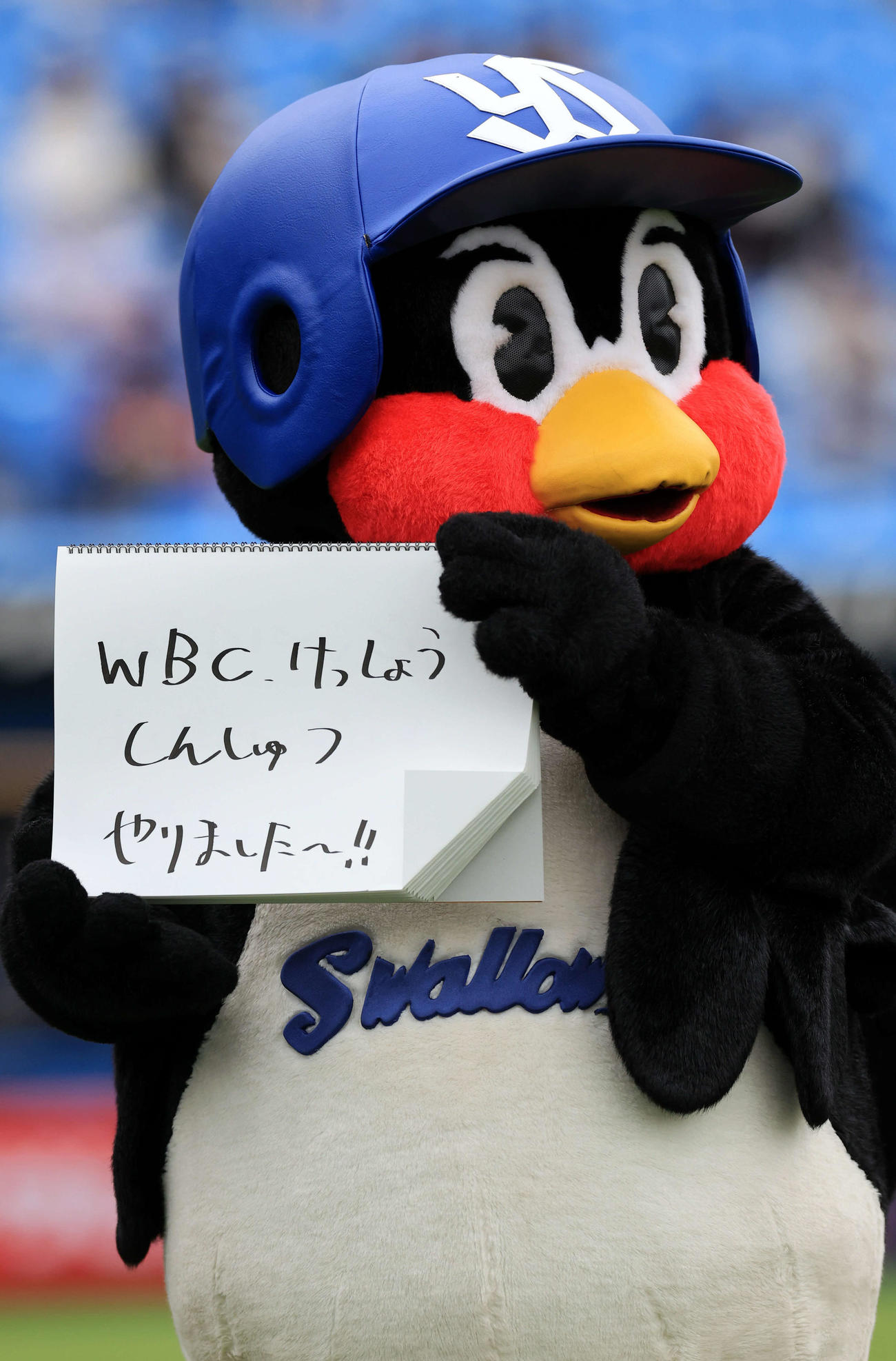 ヤクルト対楽天　試合前、WBCでヤクルト村上のサヨナラ適時二塁打で決勝進出を決めたことをパラパラひと言コメントでファンに見せるつば九郎（撮影・浅見桂子）