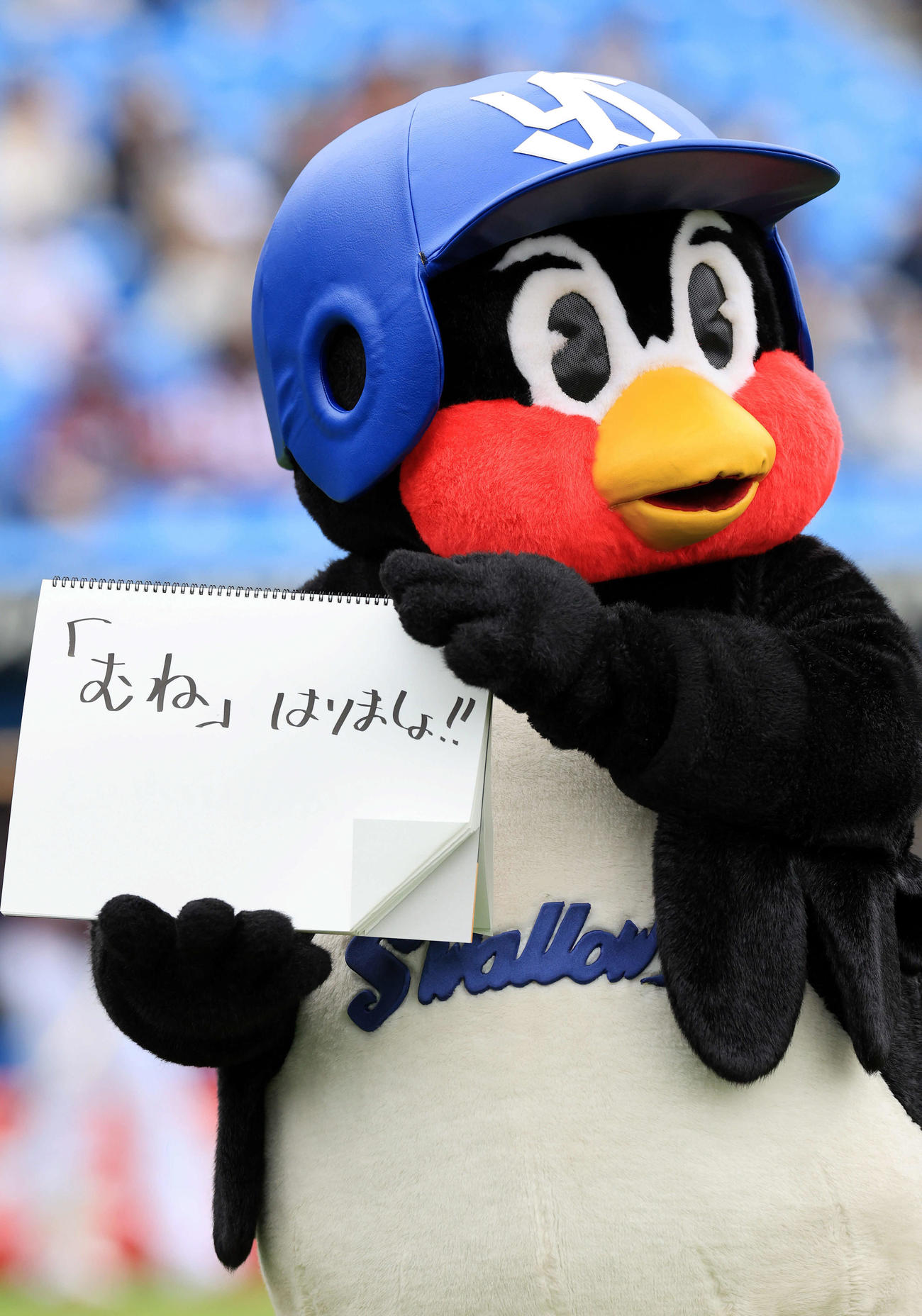 ヤクルト対楽天　試合前、WBCでヤクルト村上のサヨナラ適時二塁打で決勝進出を決めたことをパラパラひと言コメントでファンに見せるつば九郎（撮影・浅見桂子）