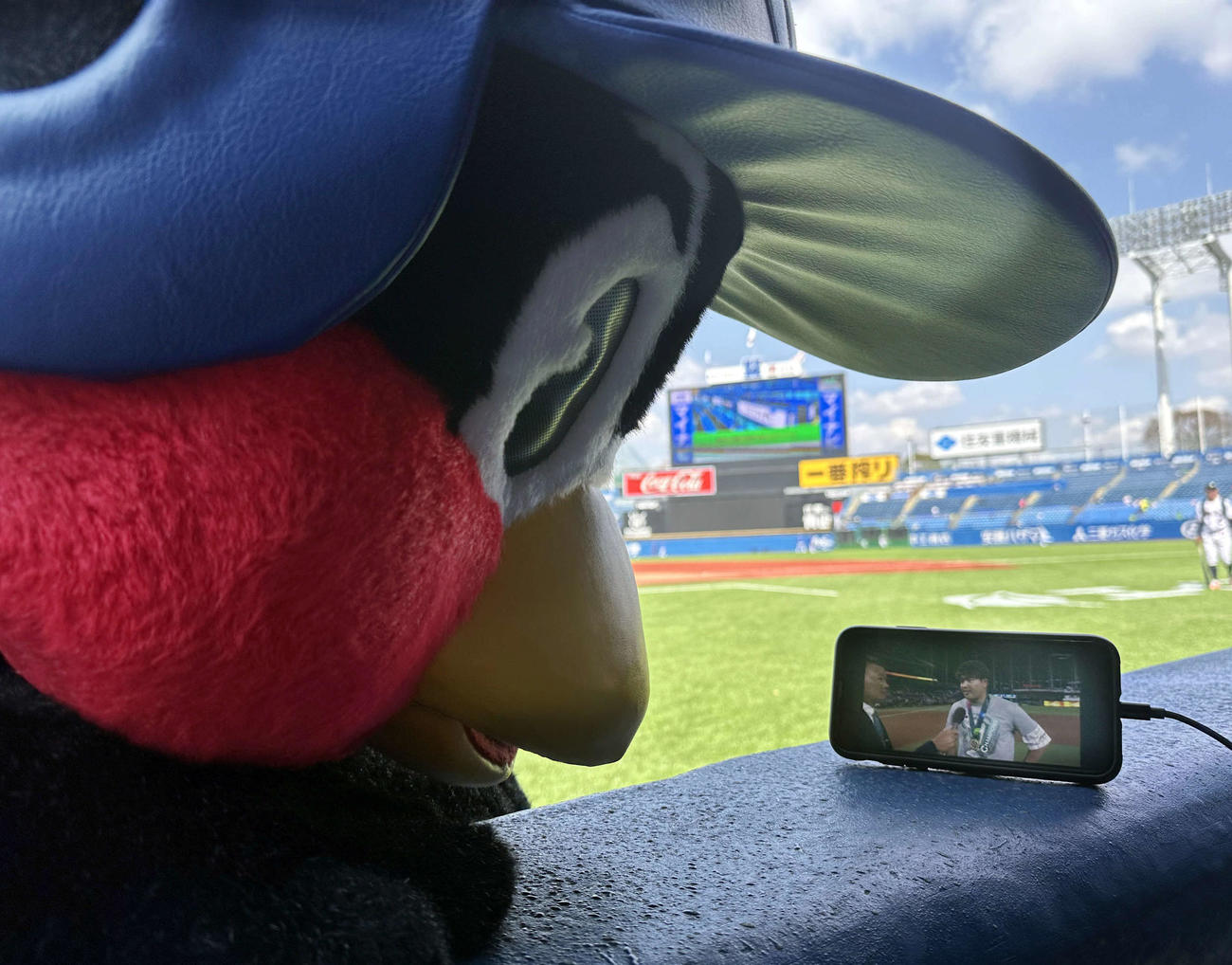 ヤクルト対DeNA　試合前、WBCの日本優勝が決まり、村上のインタビューを見つめるつば九郎（撮影・浅見桂子）