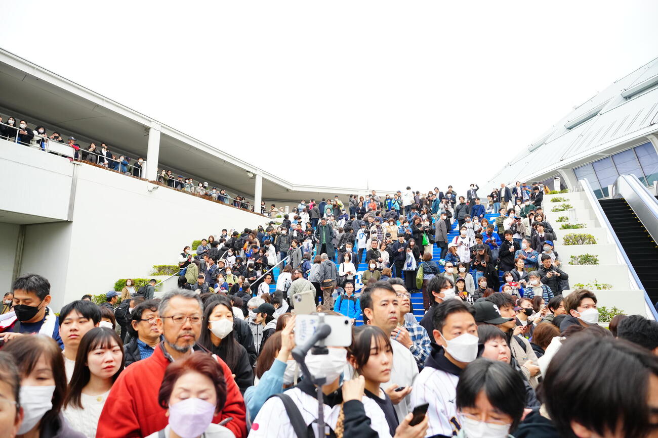 日本対中日　侍ジャパンの選手たちの到着をひと目見ようと球場前に集まったファン（撮影・垰建太）