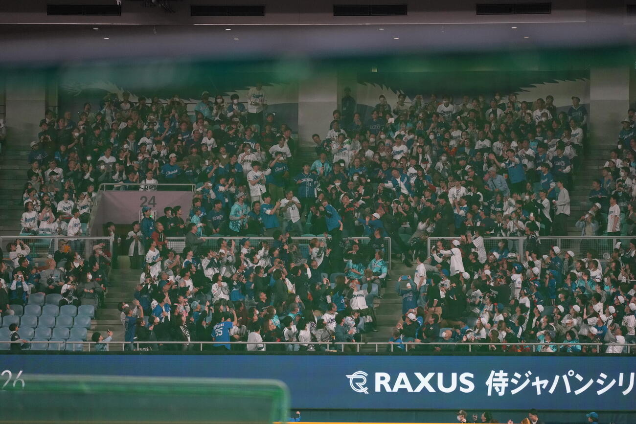 日本対中日　打撃練習する大谷のボール（撮影・井上学）