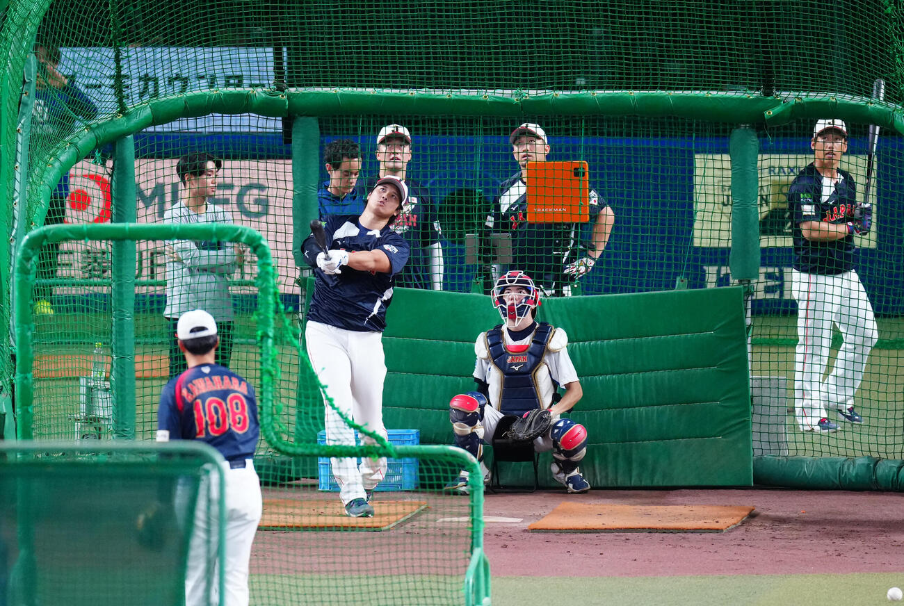 中日対日本　フリー打撃を行う大谷（撮影・垰建太）