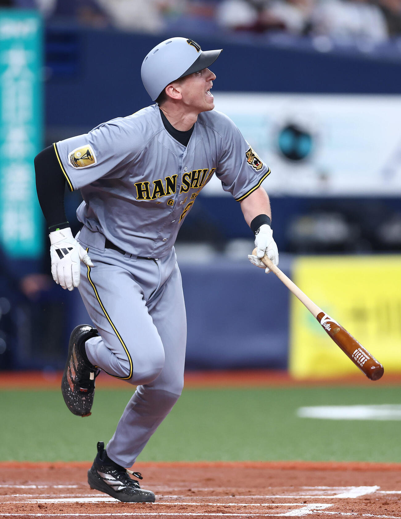 阪神対韓国　1回裏阪神1死、中飛に倒れるディベイニー（撮影・前田充）