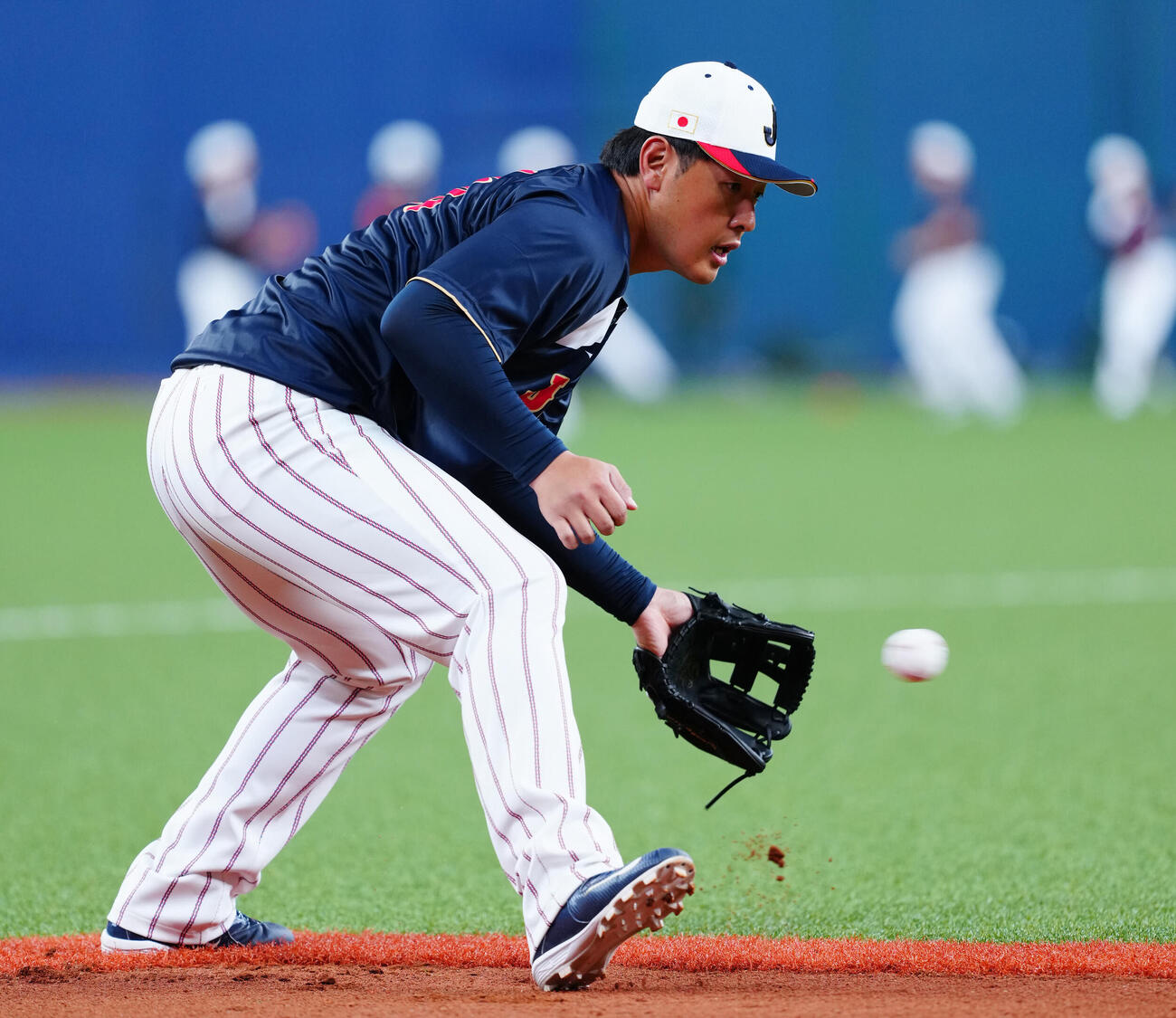 日本対オリックス　試合前ノックを受ける岡本（撮影・垰建太）