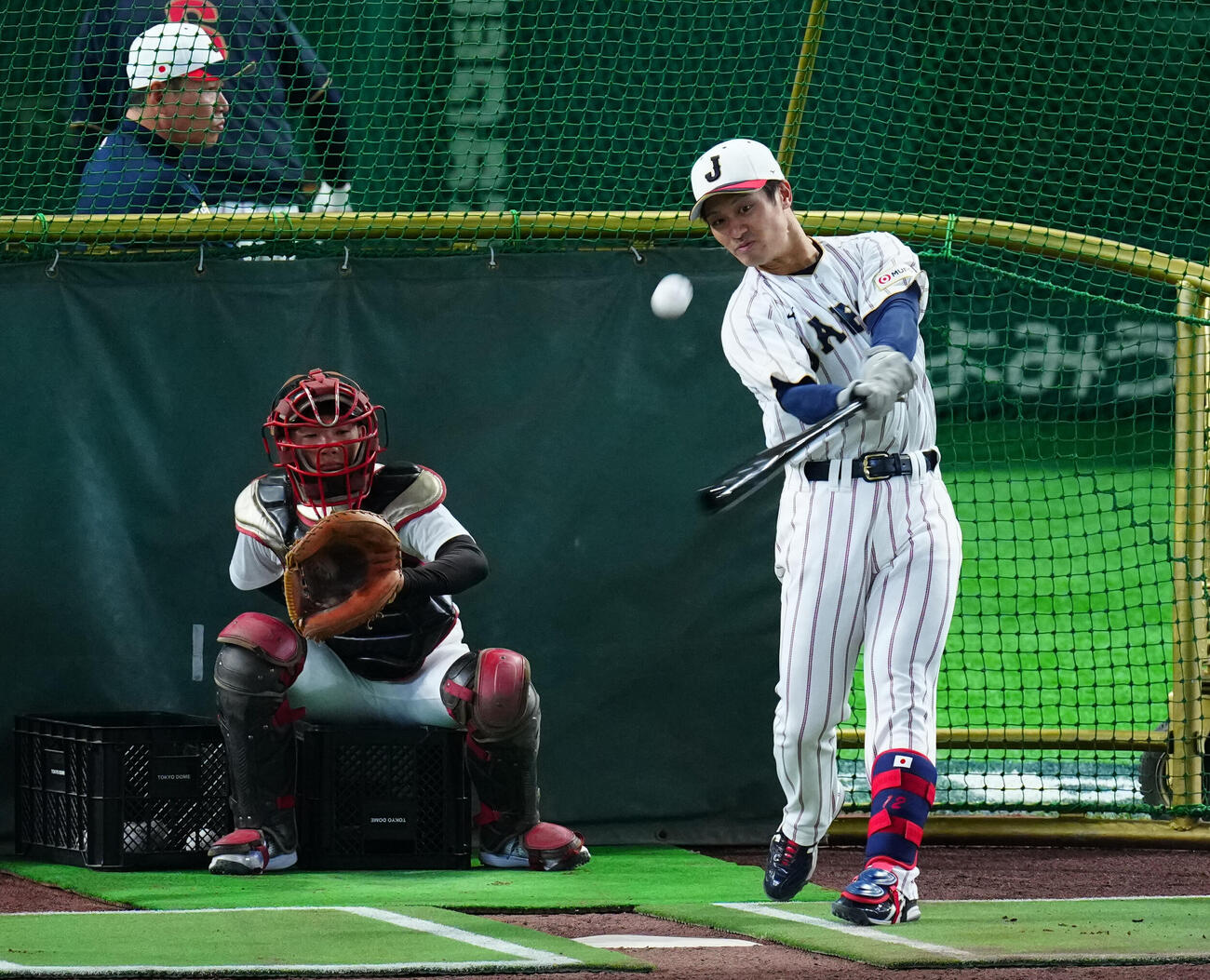 打撃練習に臨む坂本（撮影・垰建太）