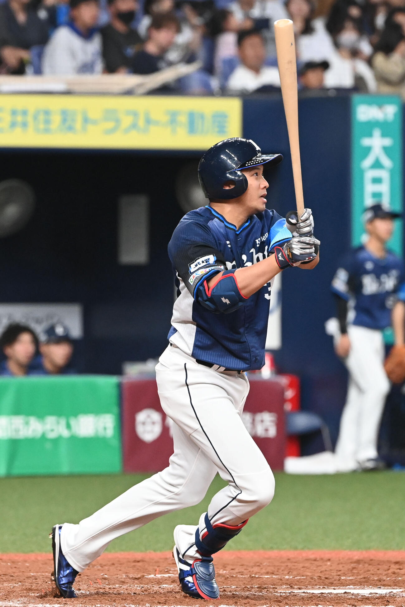 西武時代の呉念庭（2023年5月撮影）