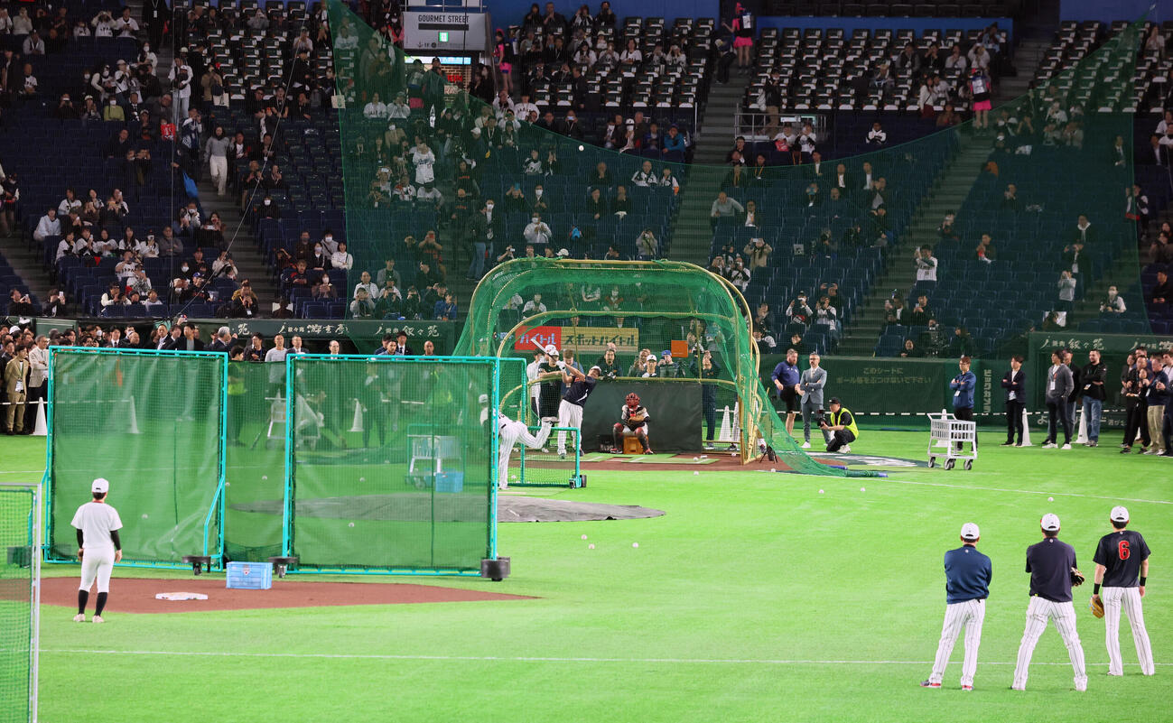 日本対韓国　打撃練習する侍ジャパン大谷（撮影・加藤哉）