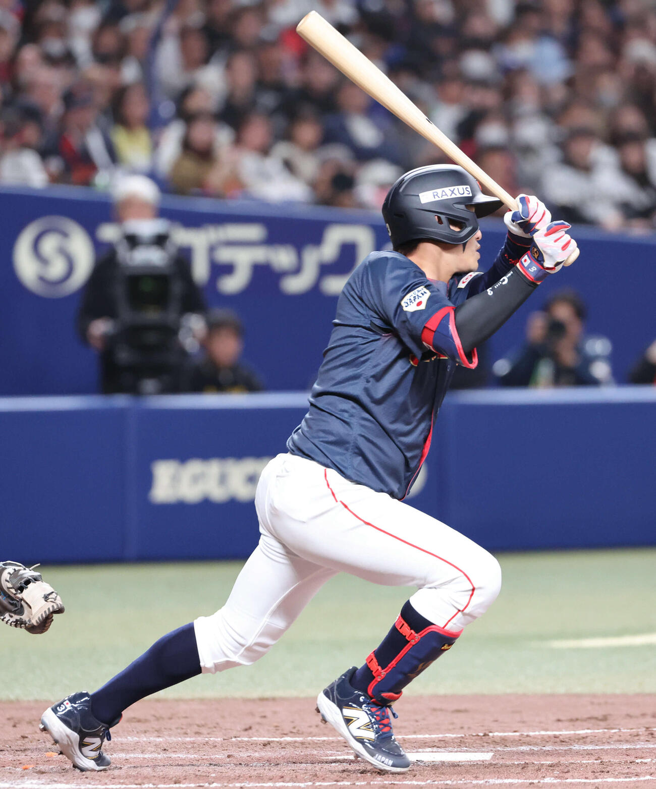 侍ジャパン小園海斗（2026年2月撮影）
