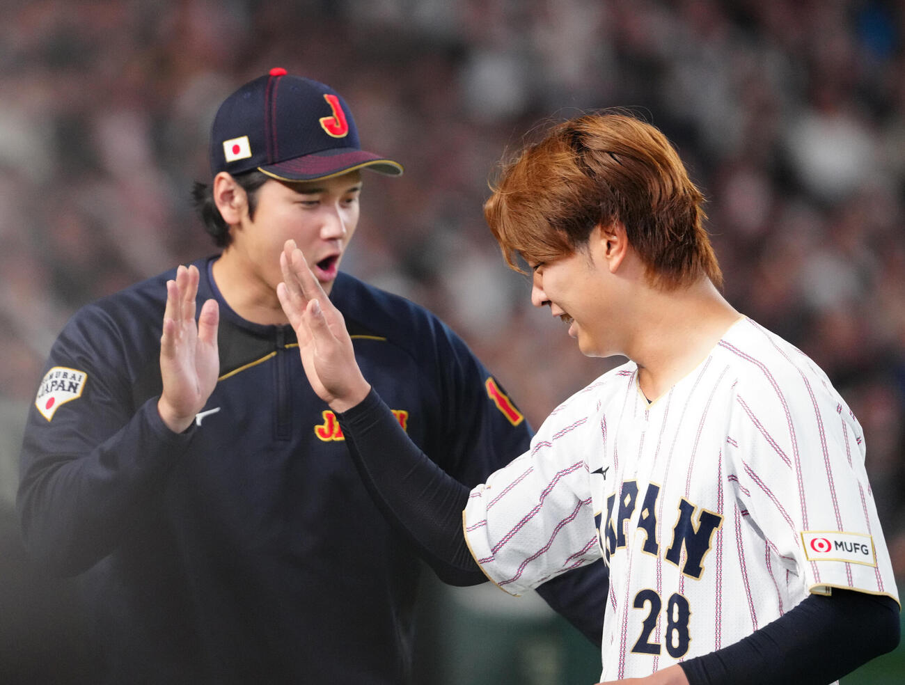 日本対チェコ　5回表途中、交代し大谷（左）とタッチを交わす先発の高橋宏（撮影・江口和貴）