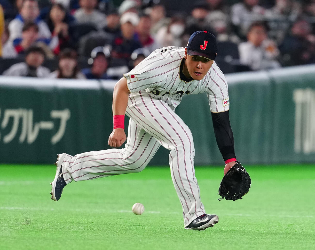 日本対チェコ　5回表チェコ無死、三ゴロとなったムジークの打球を処理する岡本（撮影・江口和貴）