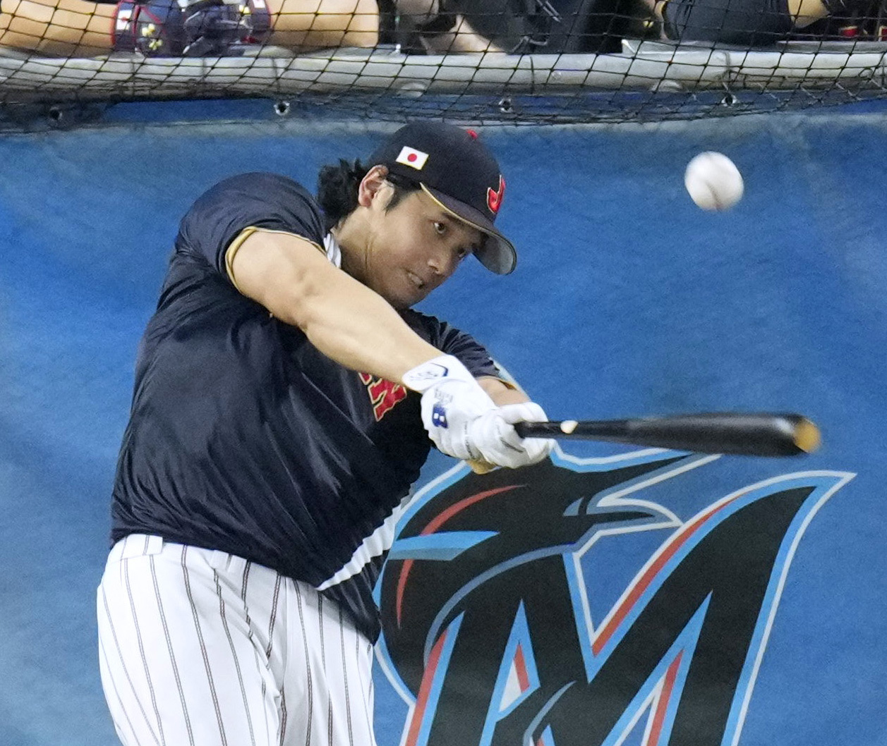 打撃練習する大谷＝マイアミ（共同）