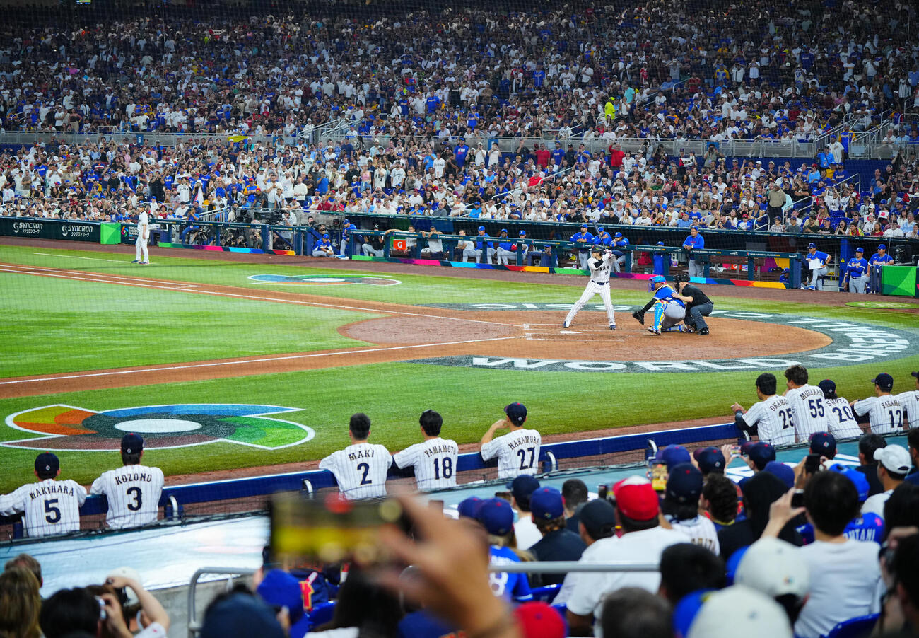 日本対ベネズエラ　ファンが注目する打席に入る大谷（撮影・垰建太）