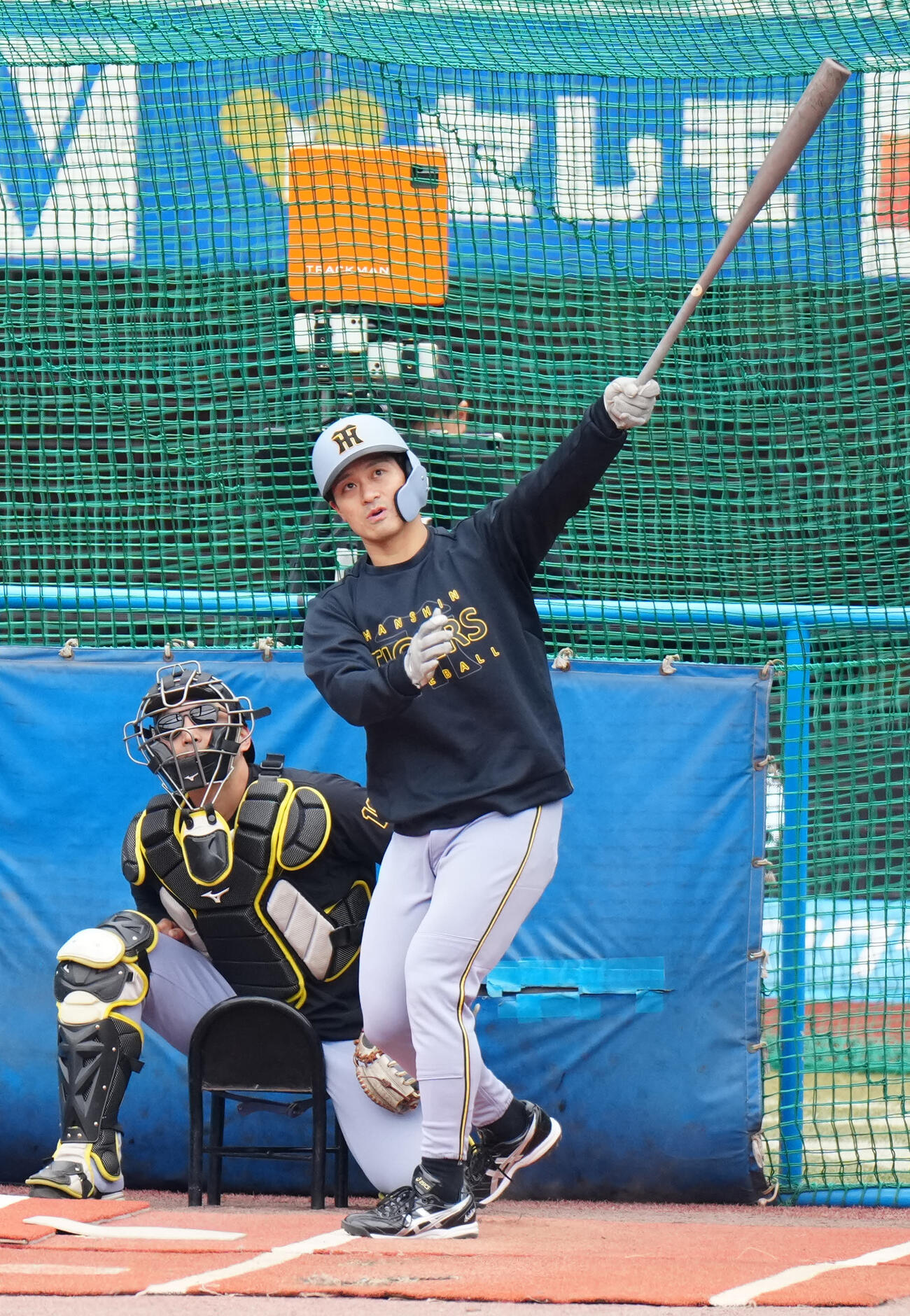 ロッテ対阪神　試合前、打撃練習する阪神坂本（撮影・江口和貴）