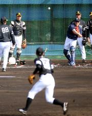守備ノックに参加して体をほぐす城島（撮影・梅根麻紀）