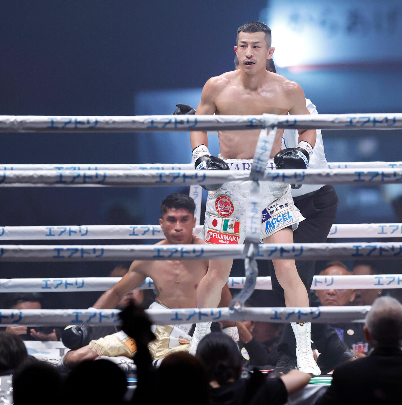 IBF世界フライ級タイトルマッチ　矢吹正道対レネ・カリスト　1回、ダウンを奪った矢吹正道（撮影・山本朝陽）