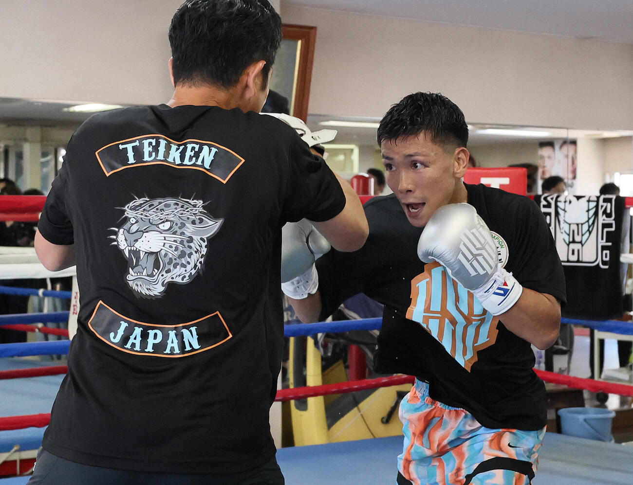 田中繊大トレーナーが構えるミットに打ち込む岩田翔吉（撮影・丹羽敏通）