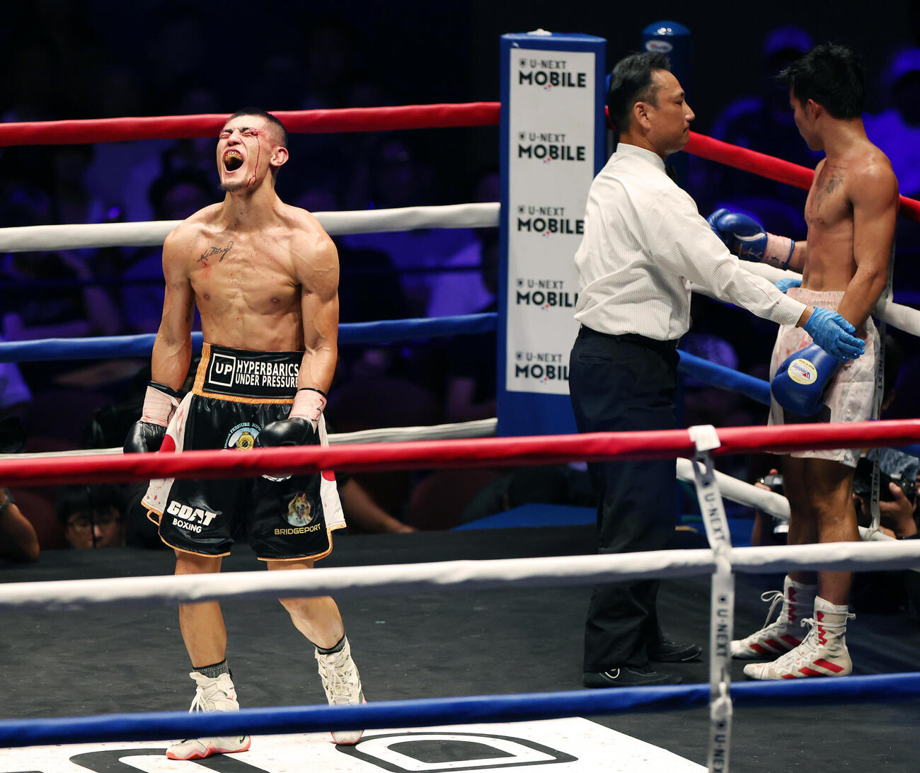 契約8回戦　ヘルラン・ゴメス（右）に5回TKO勝ちし雄たけびを上げる秋次克真（撮影・宮地輝）