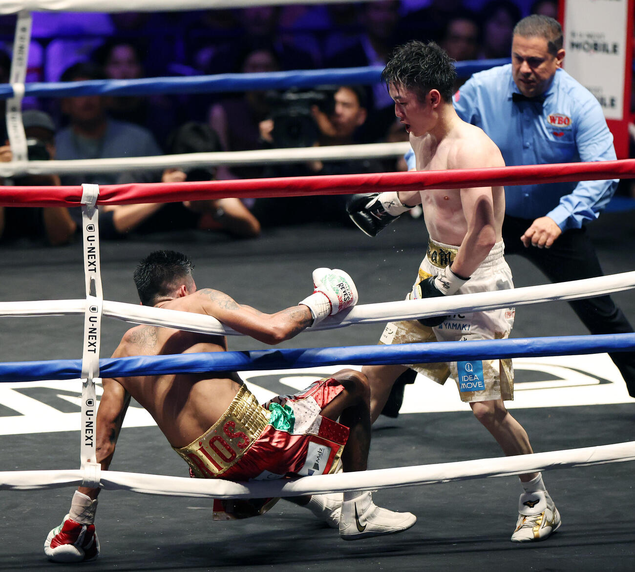 WBO世界スーパーフライ級王座決定戦　12回、イスラエル・ゴンサレス（左）からダウンを奪う寺地拳四朗（撮影・宮地輝）