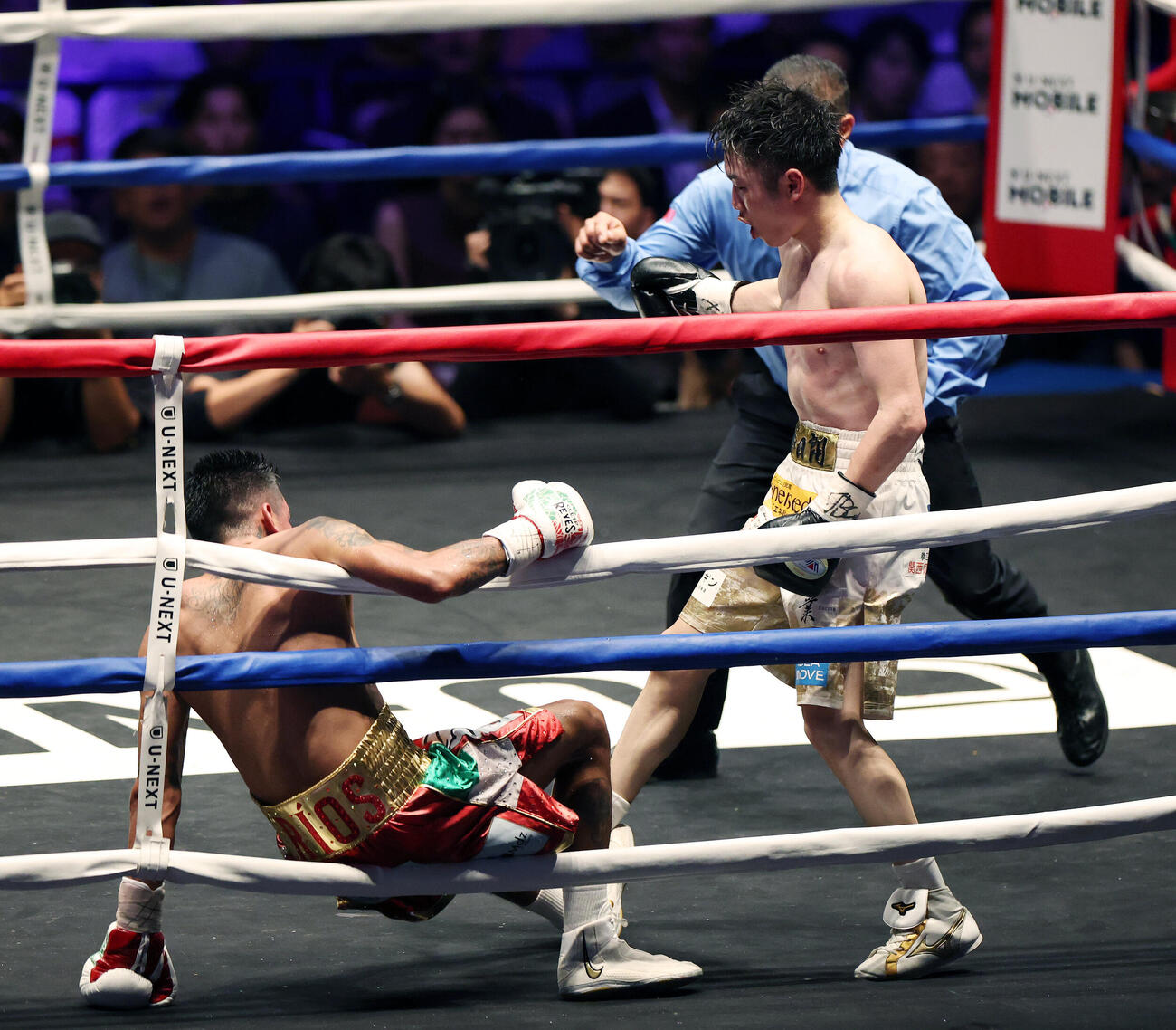 WBO世界スーパーフライ級王座決定戦　12回、イスラエル・ゴンサレス（左）からダウンを奪う寺地拳四朗（撮影・宮地輝）
