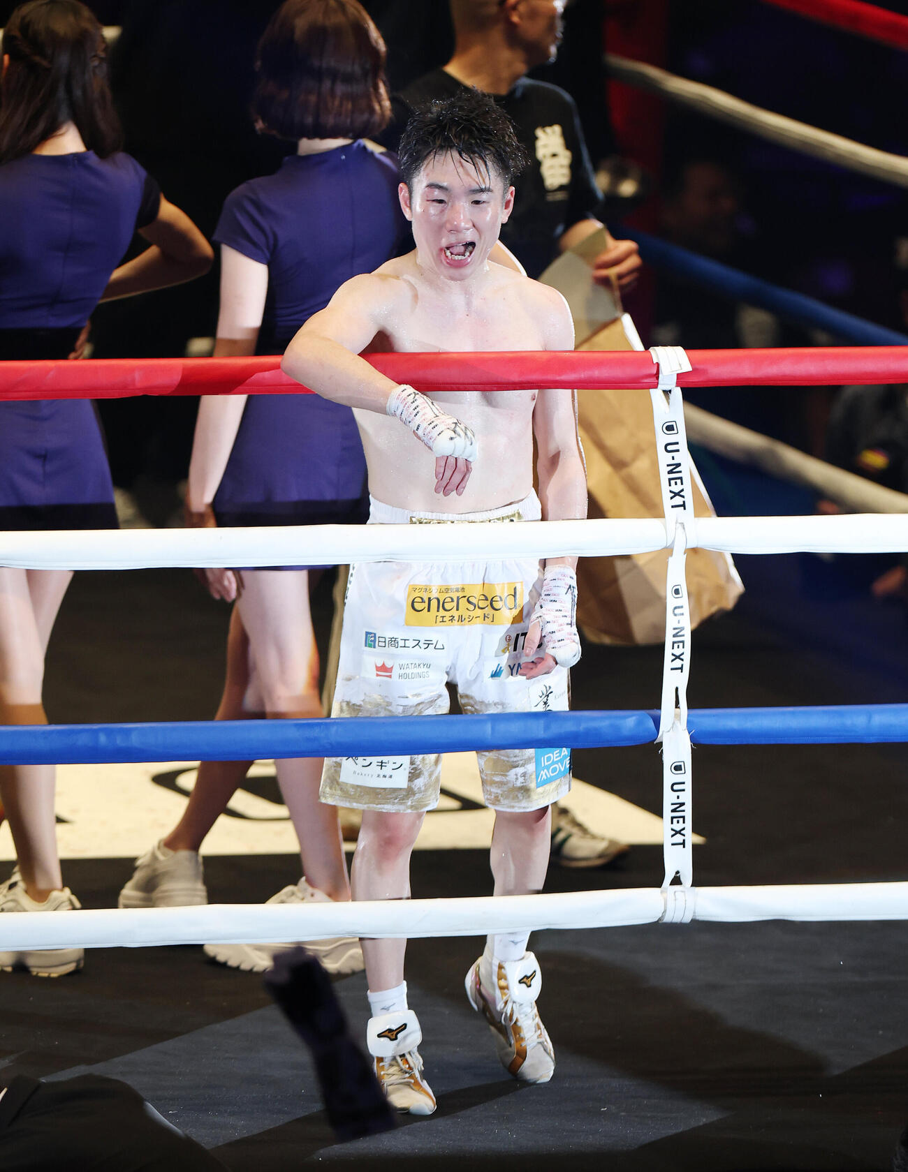 WBO世界スーパーフライ級王座決定戦　イスラエル・ゴンサレスに判定勝ちし3階級制覇を達成し客席にタオルを投げ込む寺地拳四朗（撮影・宮地輝）