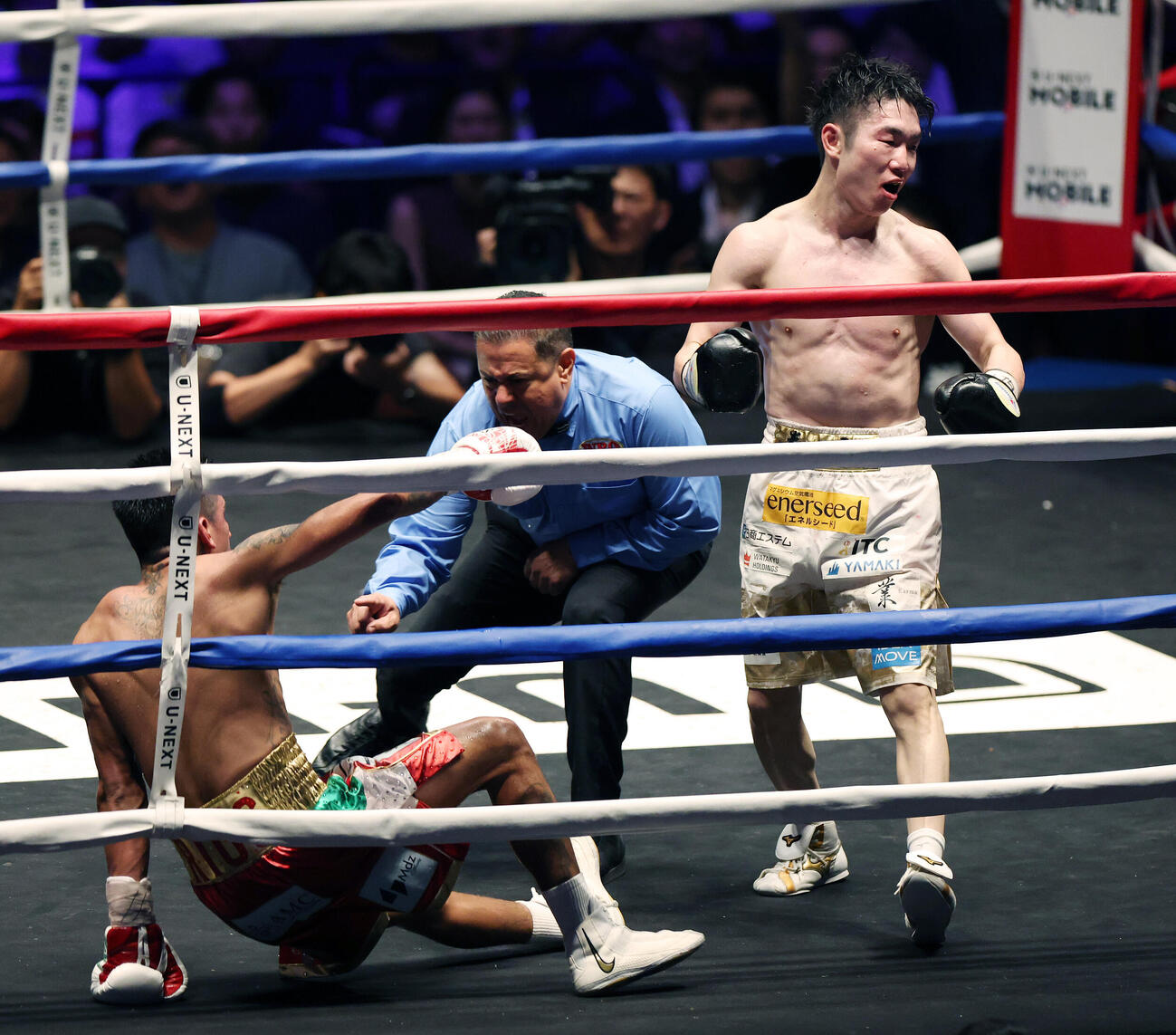 WBO世界スーパーフライ級王座決定戦　12回、イスラエル・ゴンサレス（左）からダウンを奪う寺地拳四朗（撮影・宮地輝）