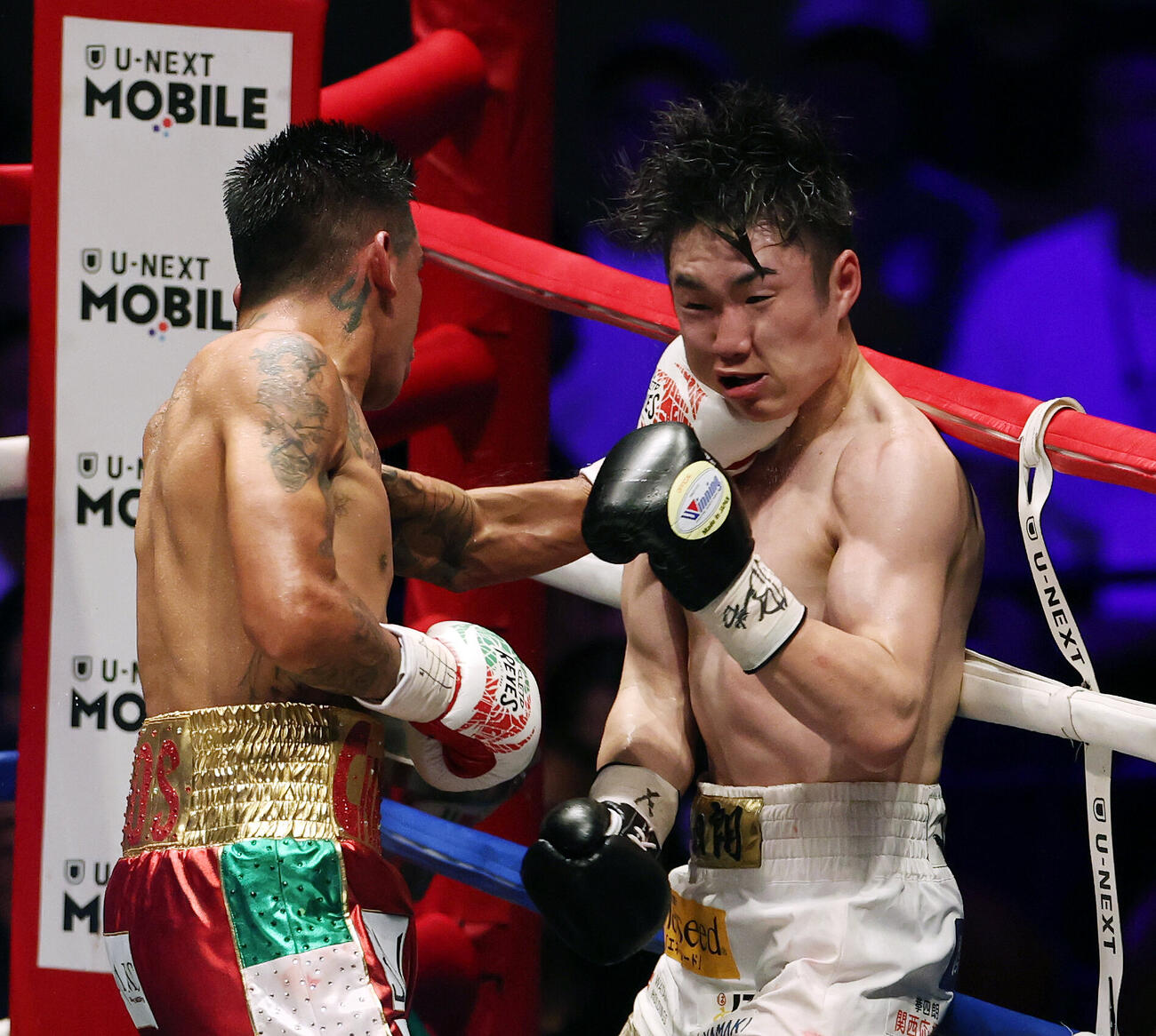 WBO世界スーパーフライ級王座決定戦　9回、イスラエル・ゴンサレス（左）にパンチを浴びる寺地拳四朗（撮影・宮地輝）