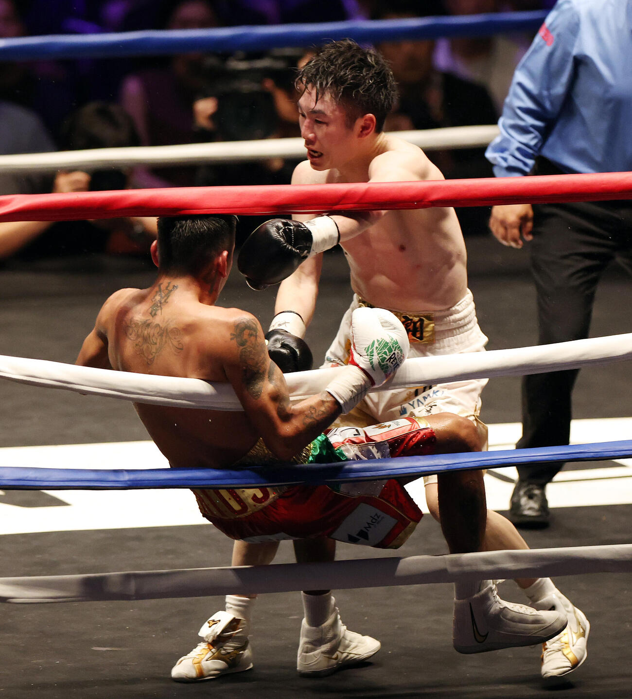 WBO世界スーパーフライ級王座決定戦　12回、イスラエル・ゴンサレス（左）からダウンを奪う寺地拳四朗（撮影・宮地輝）