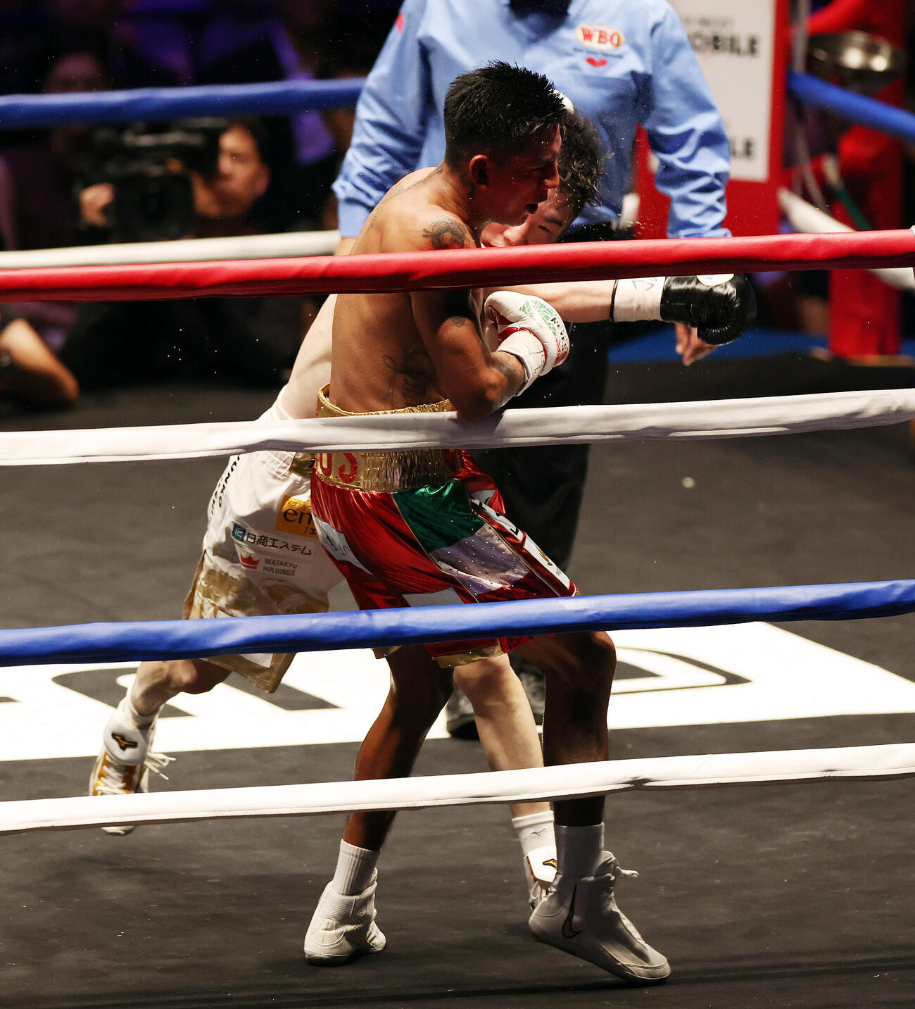 WBO世界スーパーフライ級王座決定戦　12回、イスラエル・ゴンサレス（手前）からダウンを奪う寺地拳四朗（撮影・宮地輝）