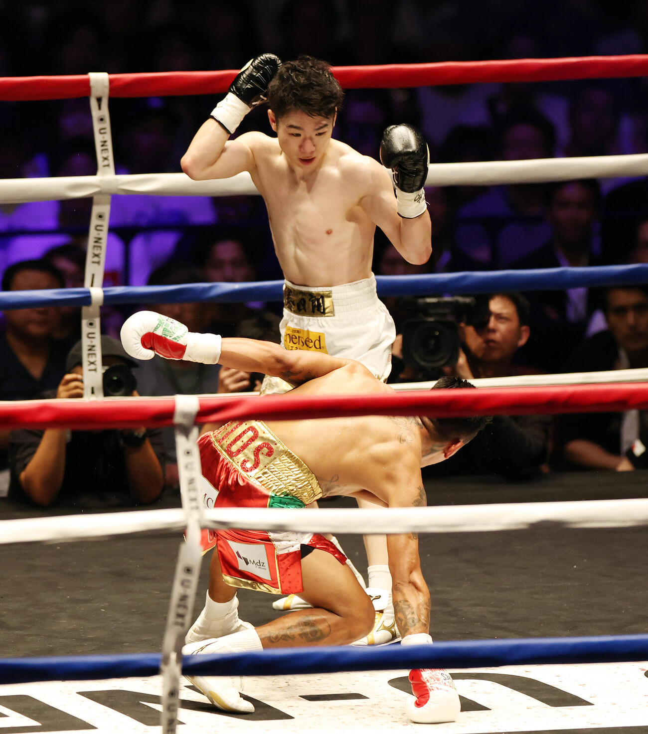 WBO世界スーパーフライ級王座決定戦　2回、イスラエル・ゴンサレス（手前）からダウン奪う寺地拳四朗（撮影・宮地輝）