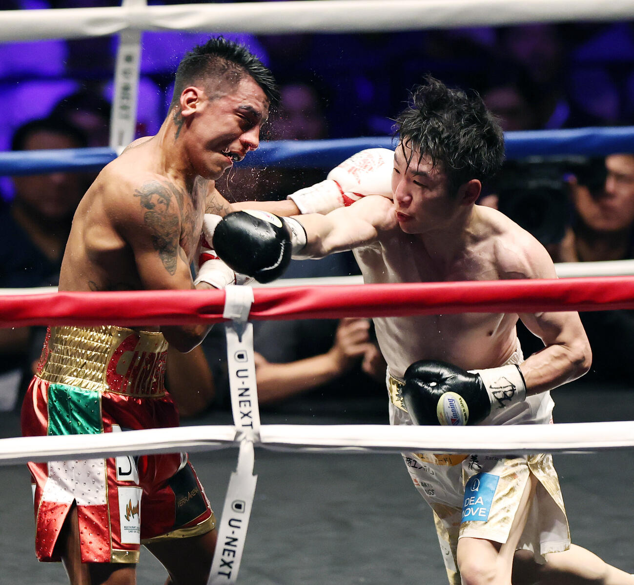 WBO世界スーパーフライ級王座決定戦　6回、イスラエル・ゴンサレス（左）にパンチを見舞う寺地拳四朗（撮影・宮地輝）