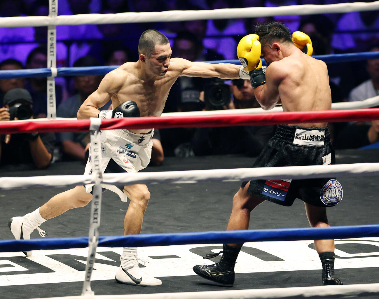 WBA世界バンタム級王座決定戦　4回、比嘉大吾（右）にパンチを打ち込む増田陸（撮影・宮地輝）