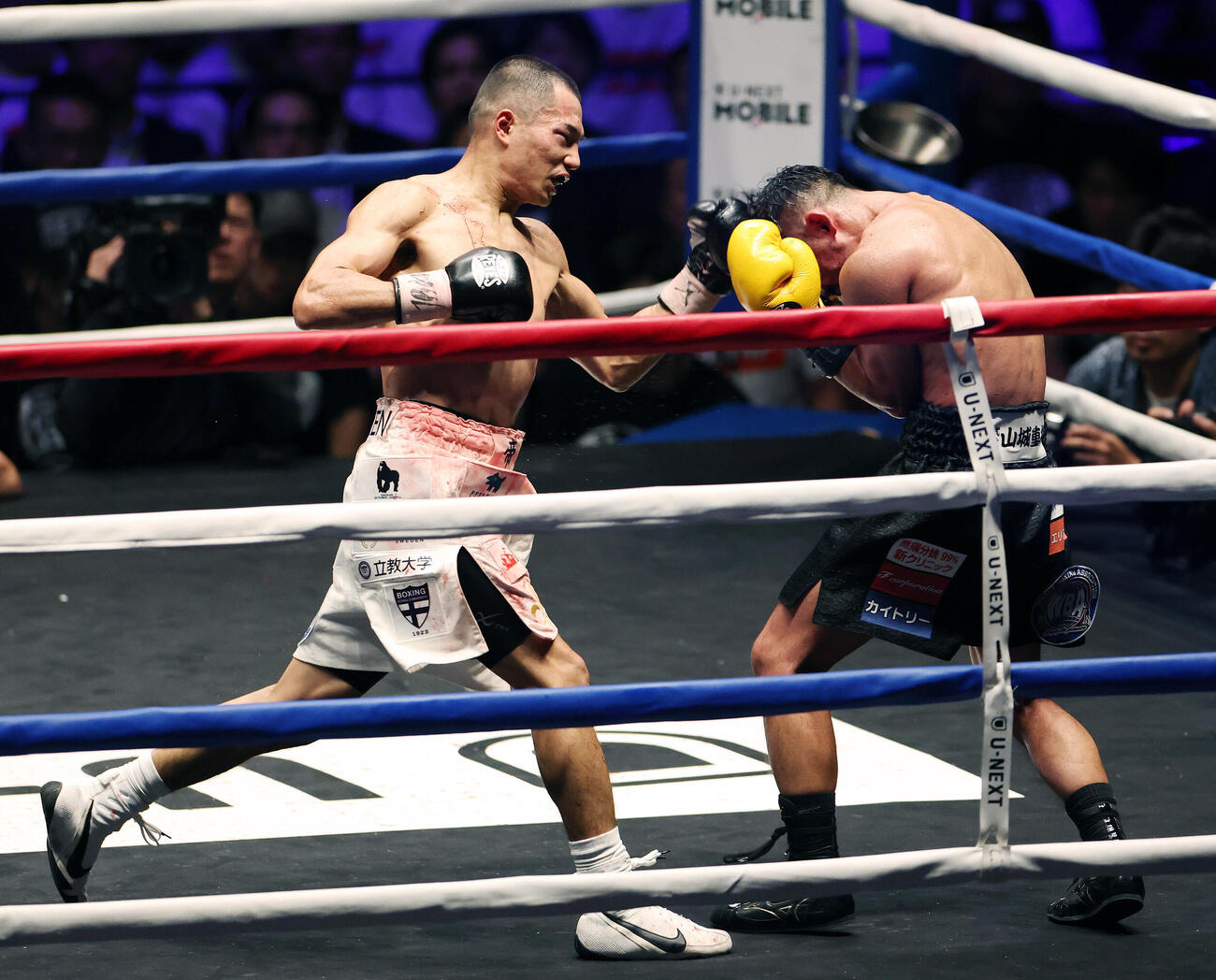 WBA世界バンタム級王座決定戦　12回、比嘉大吾（右）にパンチを打ち込む増田陸（撮影・宮地輝）