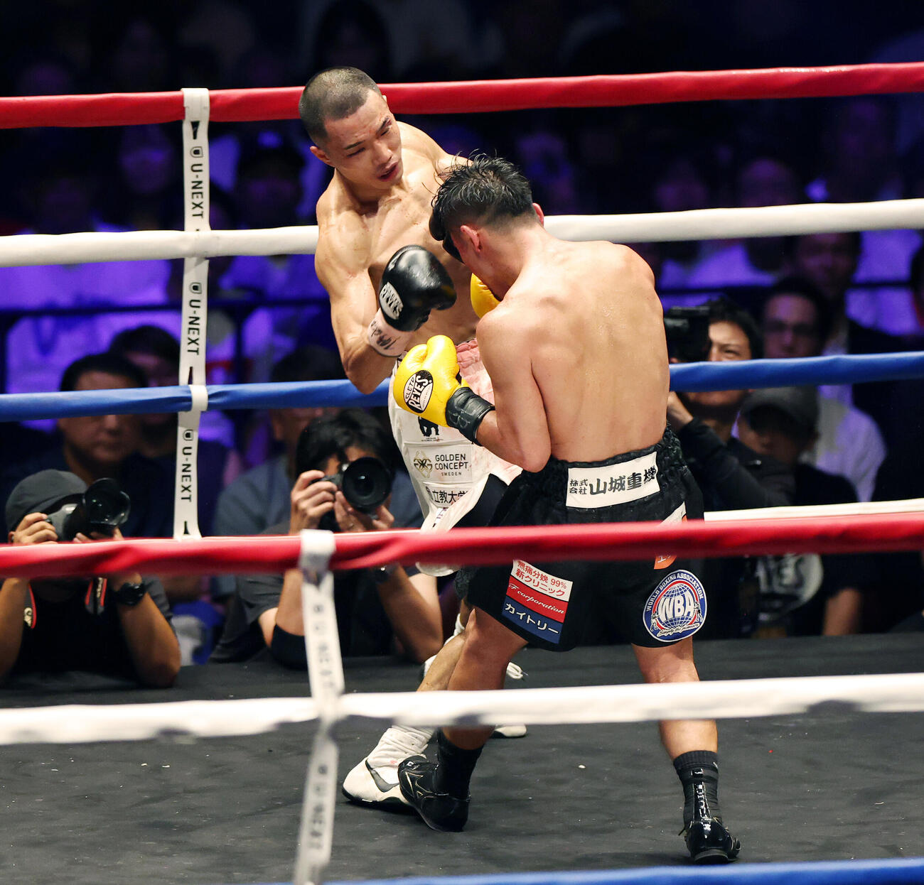 WBA世界バンタム級王座決定戦　11回、比嘉大吾（手前）にパンチを見舞う増田陸（撮影・宮地輝）