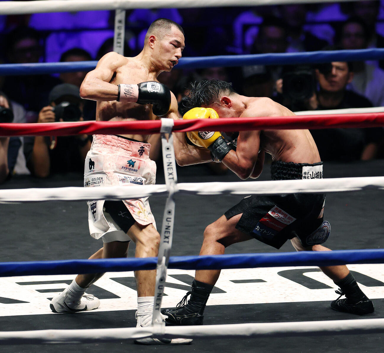 WBA世界バンタム級王座決定戦　11回、比嘉大吾（右）にパンチを打ち込む増田陸（撮影・宮地輝）