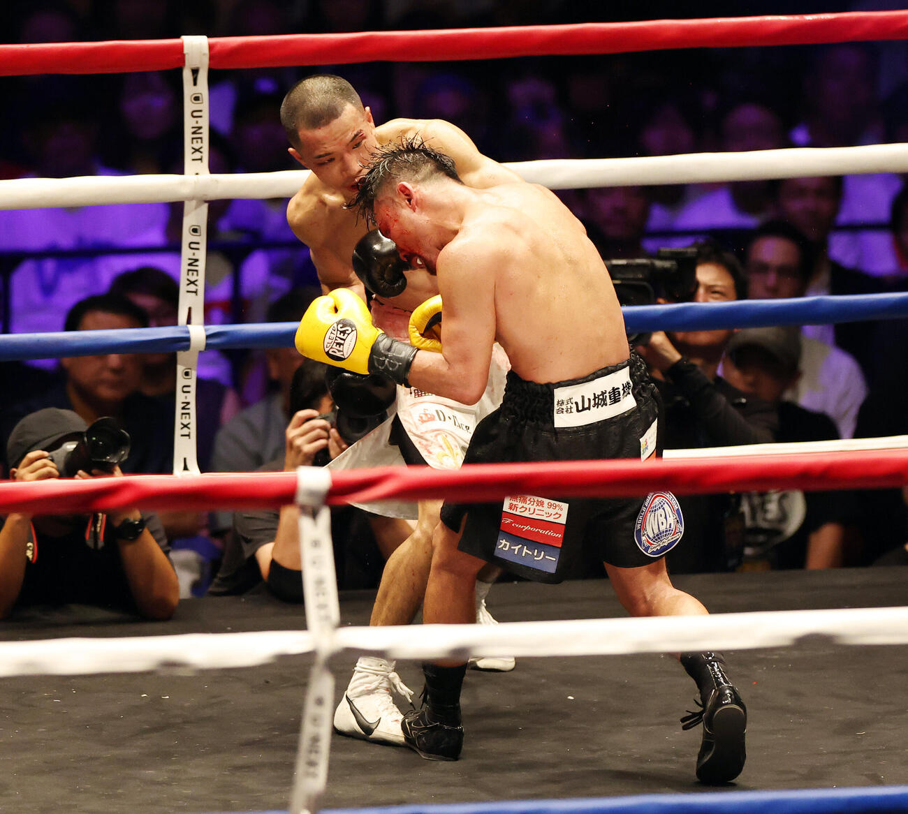 WBA世界バンタム級王座決定戦　11回、比嘉大吾（手前）にパンチを見舞う増田陸（撮影・宮地輝）
