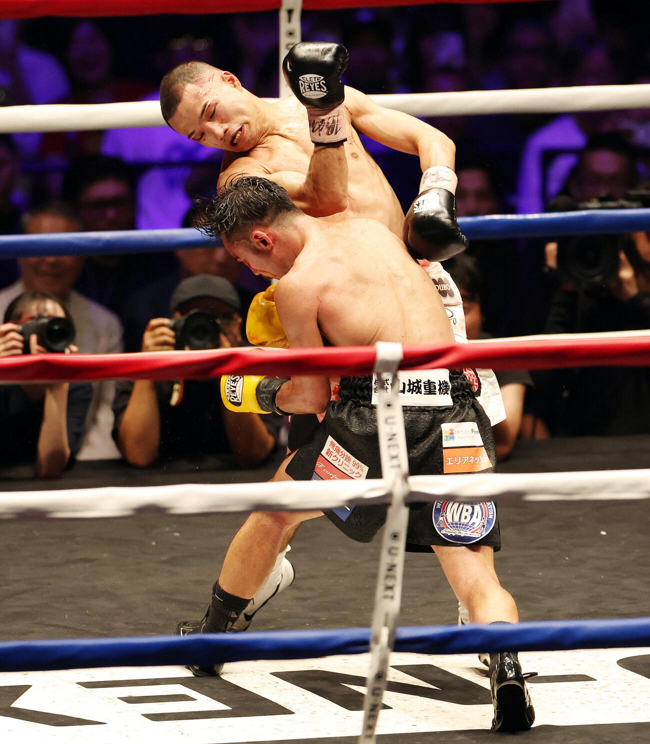 WBA世界バンタム級王座決定戦　12回、比嘉大吾（手前）にパンチを打ち込む増田陸（撮影・宮地輝）